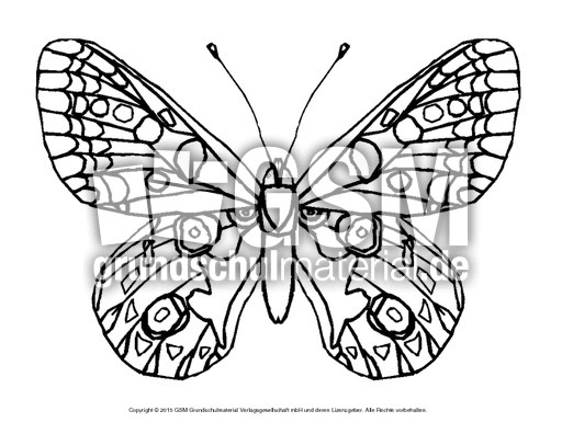 Ausmalen schmetterling zum Schmetterling Vorlage